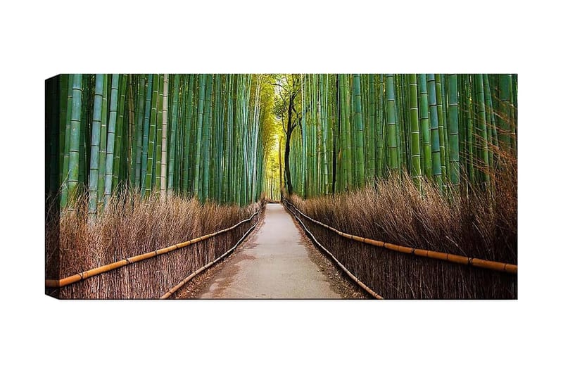 Canvasbilde YTY Landscape & Nature Flerfarget, 120x50 cm