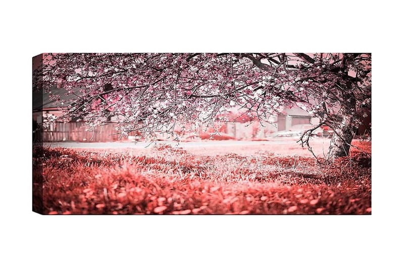 Canvasbilde YTY Landscape & Nature Flerfarget, 120x50 cm