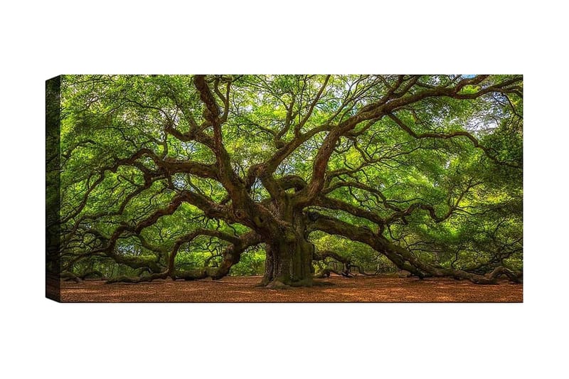 Canvasbilde YTY Landscape & Nature Flerfarget, 120x50 cm