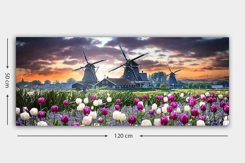 Canvasbilde YTY Landscape & Nature Flerfarget - 120x50 cm - Innredning - Bilder & kunst - Lerretsbilder