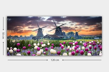 Canvasbilde YTY Landscape & Nature Flerfarget - 120x50 cm - Innredning - Bilder & kunst - Lerretsbilder
