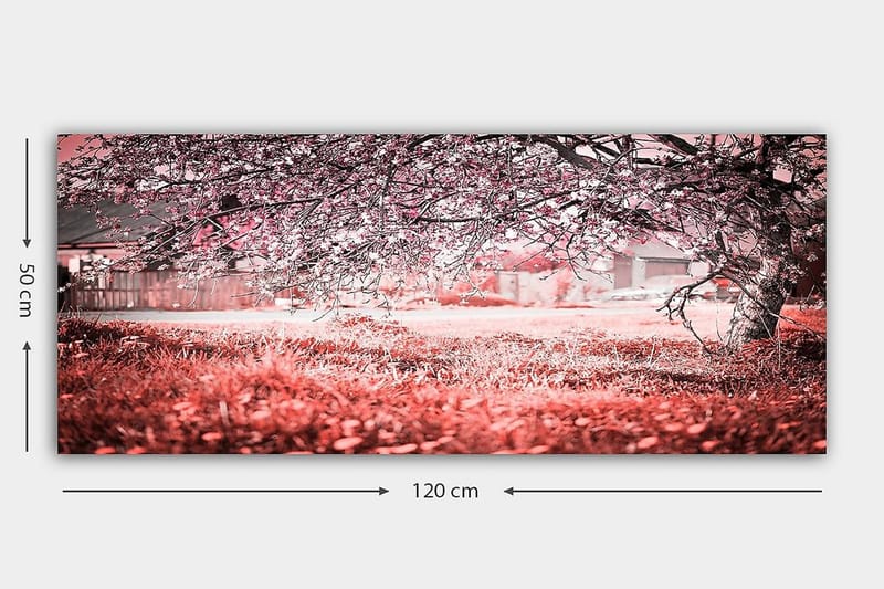 Canvasbilde YTY Landscape & Nature Flerfarget - 120x50 cm - Innredning - Bilder & kunst - Lerretsbilder