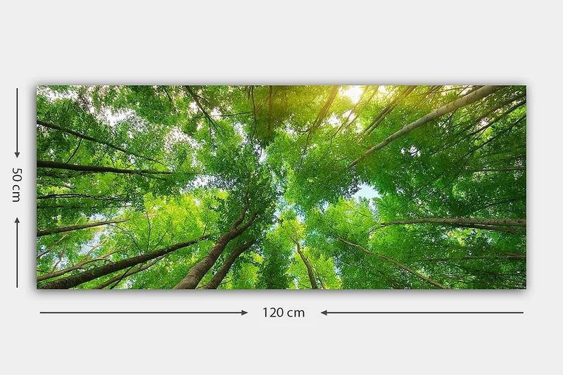 Canvasbilde YTY Landscape & Nature Flerfarget - 120x50 cm - Innredning - Bilder & kunst - Lerretsbilder