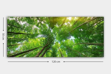 Canvasbilde YTY Landscape & Nature Flerfarget - 120x50 cm - Innredning - Bilder & kunst - Lerretsbilder
