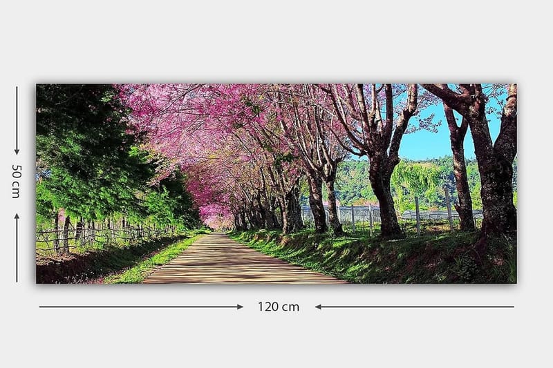 Canvasbilde YTY Landscape & Nature Flerfarget - 120x50 cm - Innredning - Bilder & kunst - Lerretsbilder