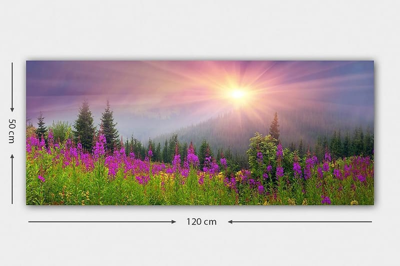 Canvasbilde YTY Landscape & Nature Flerfarget - 120x50 cm - Innredning - Bilder & kunst - Lerretsbilder