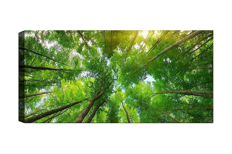 Canvasbilde YTY Landscape & Nature Flerfarget - 120x50 cm - Innredning - Bilder & kunst - Lerretsbilder