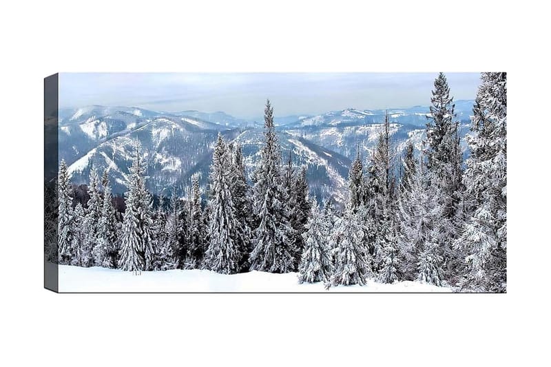 Canvasbilde YTY Landscape & Nature Flerfarget - 120x50 cm - Innredning - Bilder & kunst - Lerretsbilder