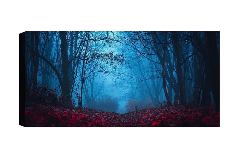 Canvasbilde YTY Landscape & Nature Flerfarget, 120x50 cm