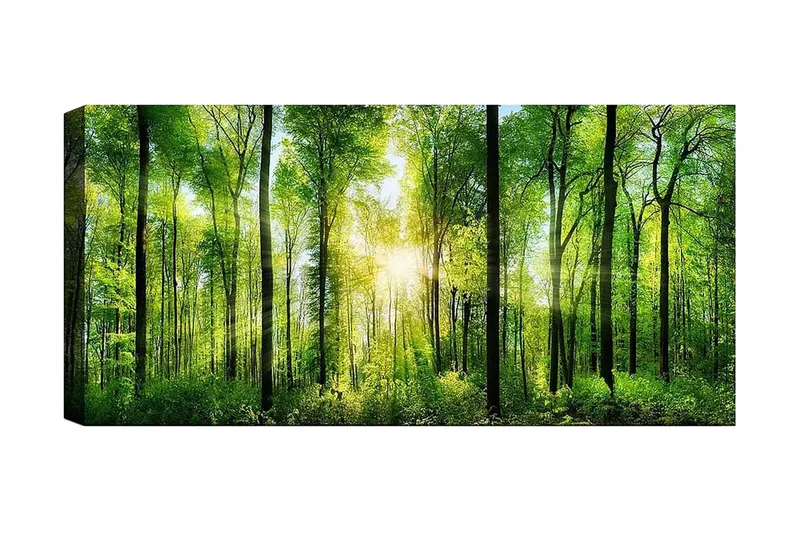 Canvasbilde YTY Landscape & Nature Flerfarget, 120x50 cm