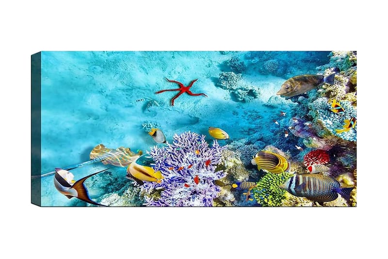 Canvasbilde YTY Nautical & Beach Flerfarget - 120x50 cm - Innredning - Bilder & kunst - Lerretsbilder