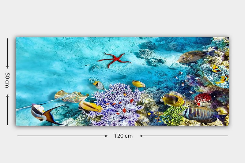 Canvasbilde YTY Nautical & Beach Flerfarget - 120x50 cm - Innredning - Bilder & kunst - Lerretsbilder