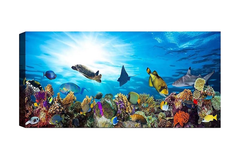 Canvasbilde YTY Nautical & Beach Flerfarget, 120x50 cm