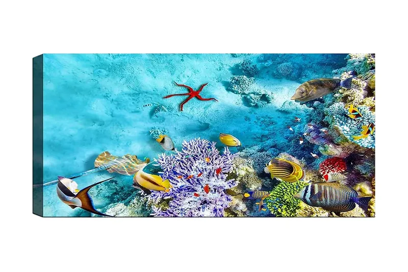 Canvasbilde YTY Nautical & Beach Flerfarget, 120x50 cm