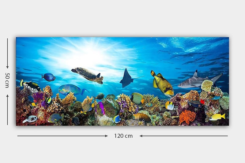 Canvasbilde YTY Nautical & Beach Flerfarget - 120x50 cm - Innredning - Bilder & kunst - Lerretsbilder