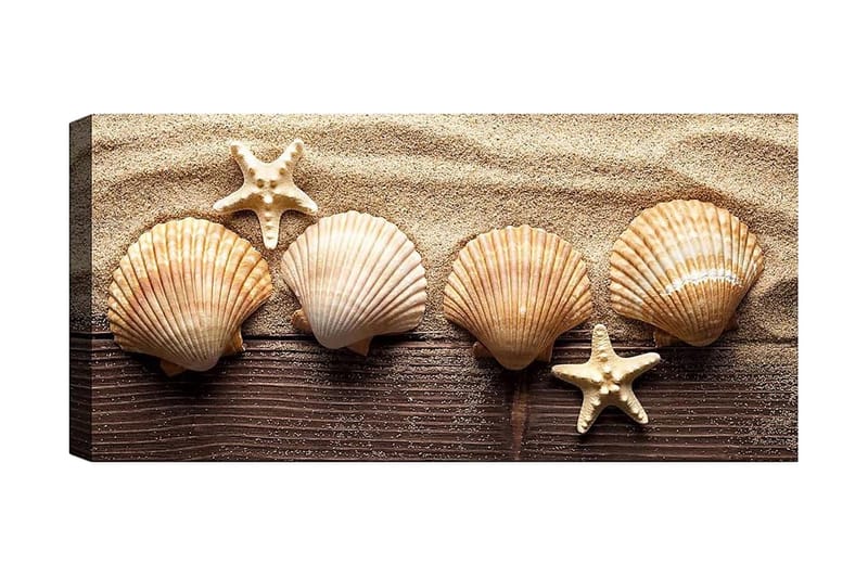 Canvasbilde YTY Nautical & Beach Flerfarget, 120x50 cm