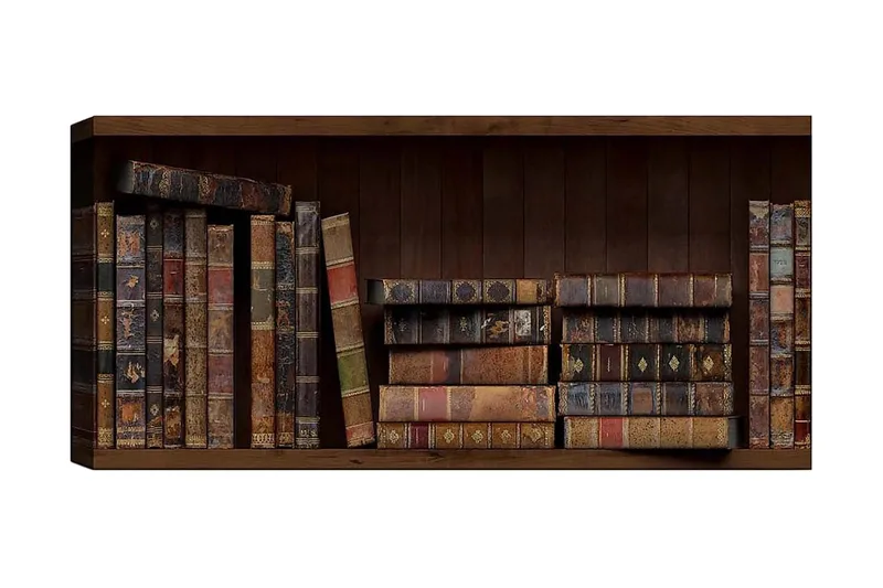 Canvasbilde YTY Reading and Literature Flerfarget, 120x50 cm