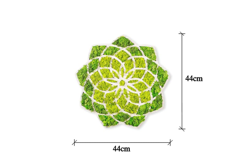 Daisy Canvasbilde - 44x44 cm - Innredning - Bilder & kunst - Lerretsbilder