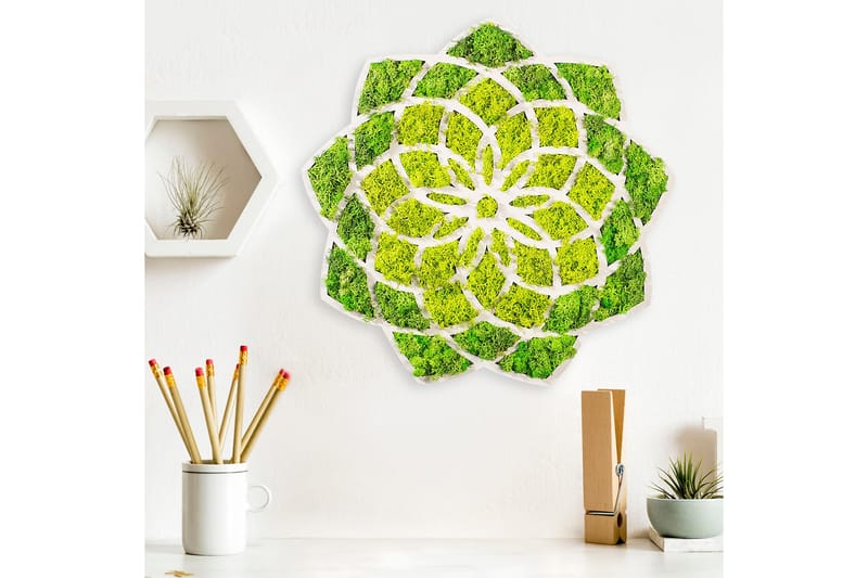 Daisy Canvasbilde - 44x44 cm - Innredning - Bilder & kunst - Lerretsbilder