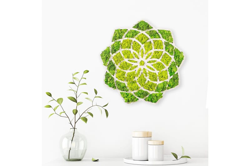 Daisy Canvasbilde - 44x44 cm - Innredning - Bilder & kunst - Lerretsbilder