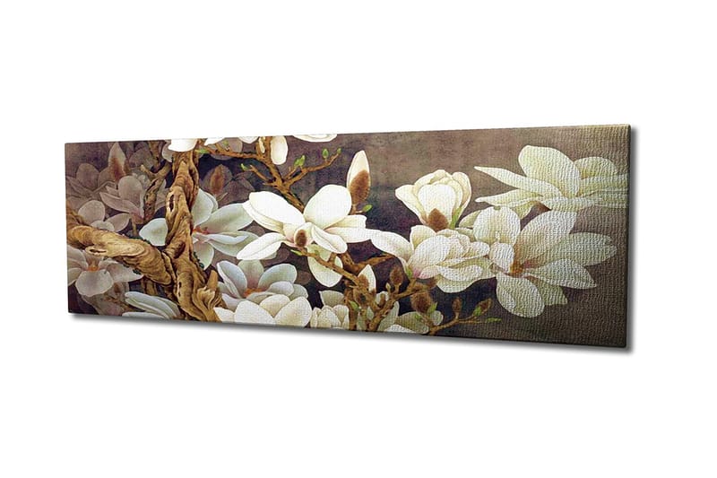 Decorative Canvas Painting 30x80 - Lerretsbilder