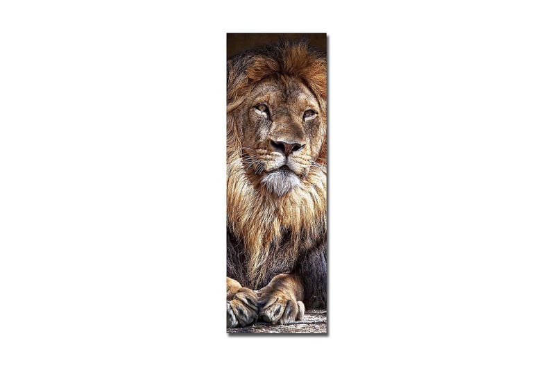 Decorative Canvas Painting 30x90 - Innredning - Bilder & kunst - Lerretsbilder