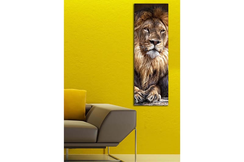 Decorative Canvas Painting 30x90 - Innredning - Bilder & kunst - Lerretsbilder