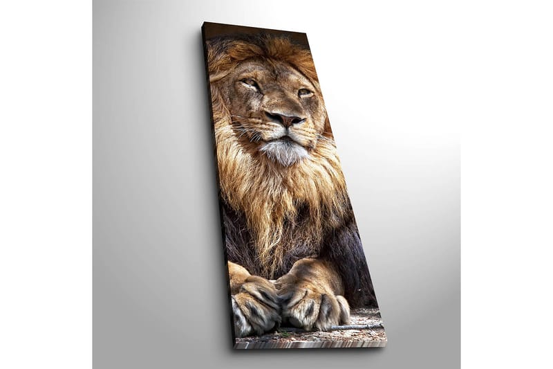 Decorative Canvas Painting 30x90 - Innredning - Bilder & kunst - Lerretsbilder