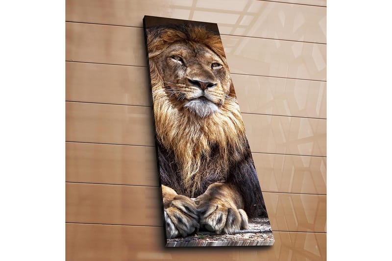 Decorative Canvas Painting 30x90 - Innredning - Bilder & kunst - Lerretsbilder