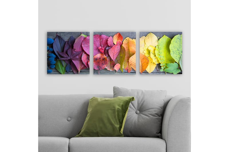 Decorative Canvas Painting (3 Pieces) 30x30 - Innredning - Bilder & kunst - Lerretsbilder