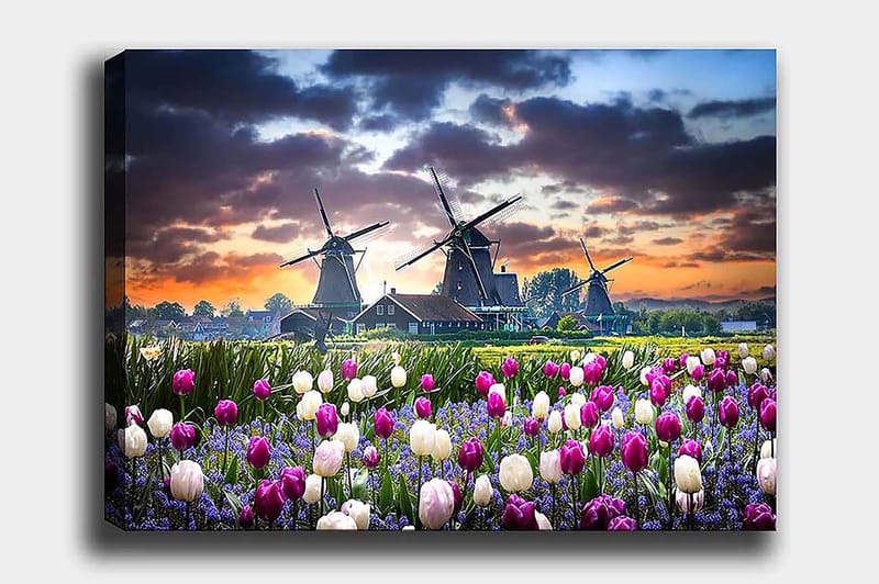 Decorative Canvas Painting 50x70 - Innredning - Bilder & kunst - Lerretsbilder
