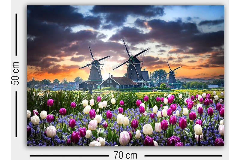 Decorative Canvas Painting 50x70 - Innredning - Bilder & kunst - Lerretsbilder