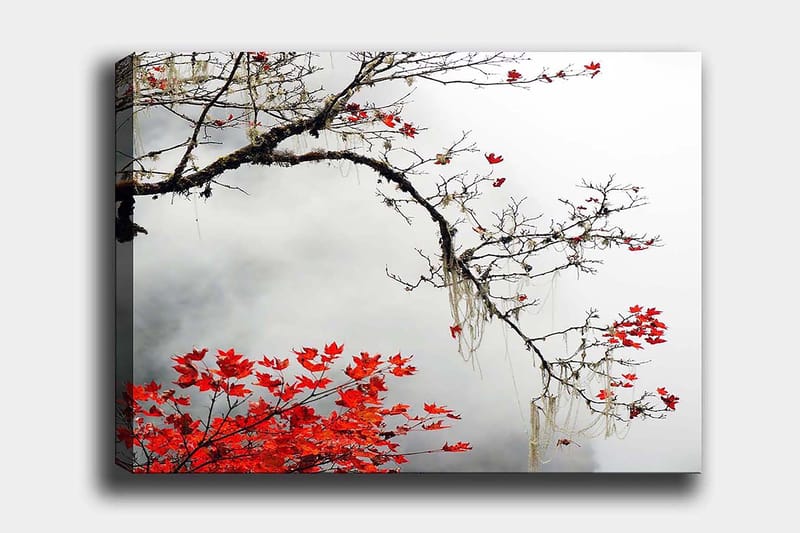 Decorative Canvas Painting 70x100 - Innredning - Bilder & kunst - Lerretsbilder