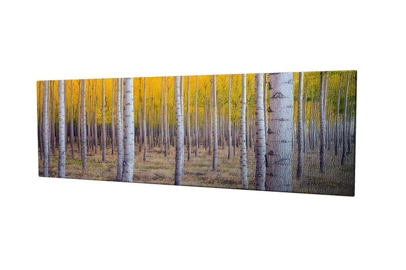 Decorative Canvas Painting 30x80 - Innredning - Bilder & kunst - Lerretsbilder