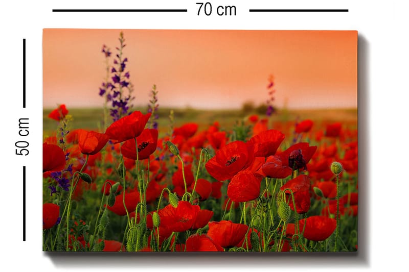 Decorative Canvas Painting 50x70 - Innredning - Bilder & kunst - Lerretsbilder