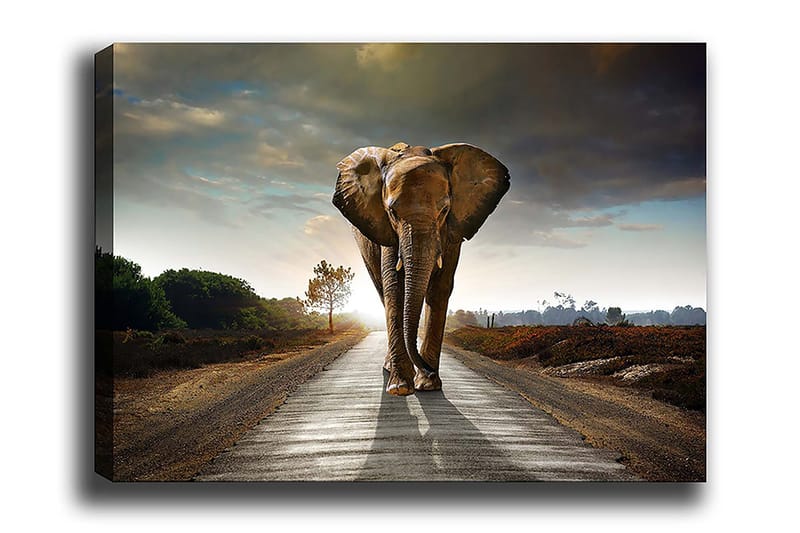 Decorative Canvas Painting 70x100, undefined