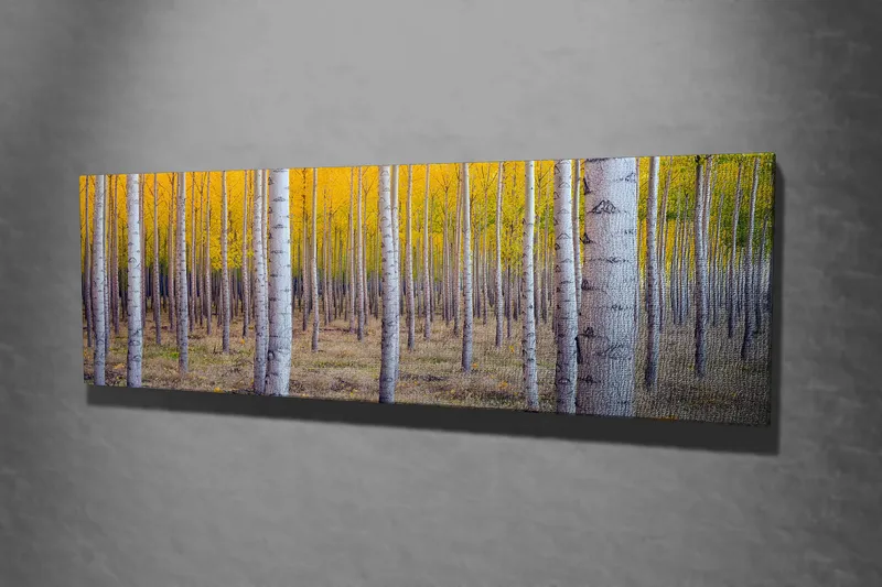 Decorative Canvas Painting 30x80 - Innredning - Bilder & kunst - Lerretsbilder