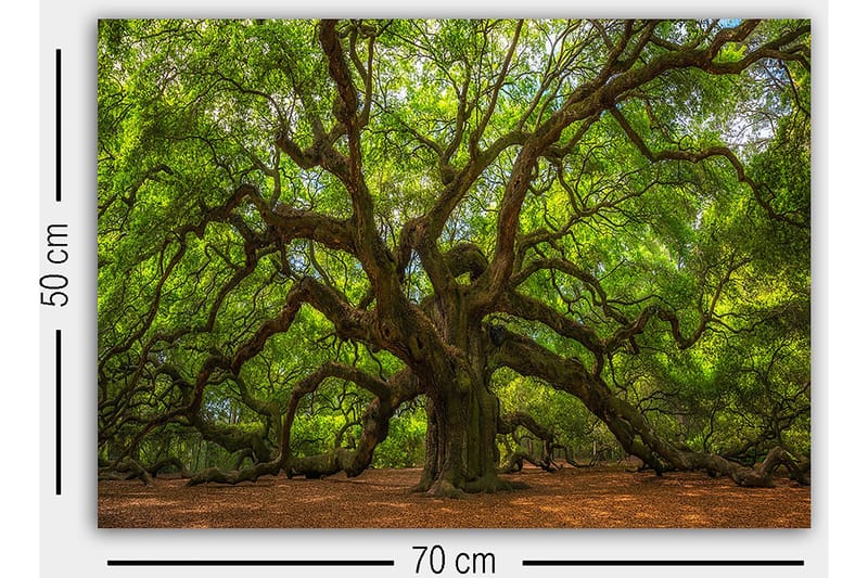 Decorative Canvas Painting 50x70 - Innredning - Bilder & kunst - Lerretsbilder