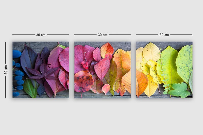 Decorative Canvas Painting (3 Pieces) 30x30 - Innredning - Bilder & kunst - Lerretsbilder