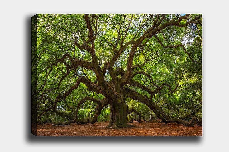 Decorative Canvas Painting 50x70, undefined