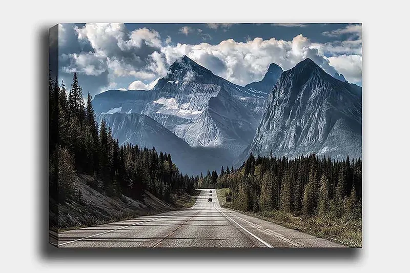 Decorative Canvas Painting 50x70, undefined