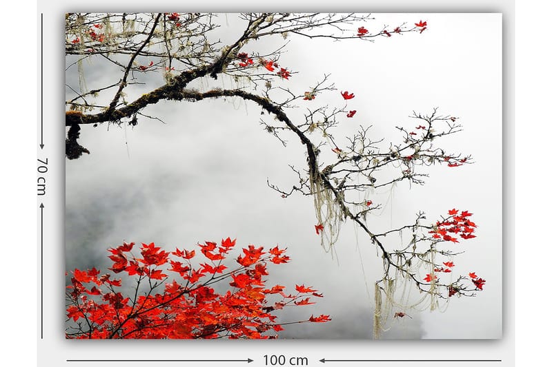 Decorative Canvas Painting 70x100 - Innredning - Bilder & kunst - Lerretsbilder