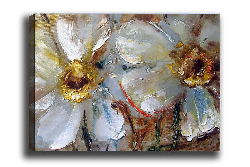 Decorative Canvas Painting 50x70 - Innredning - Bilder & kunst - Lerretsbilder