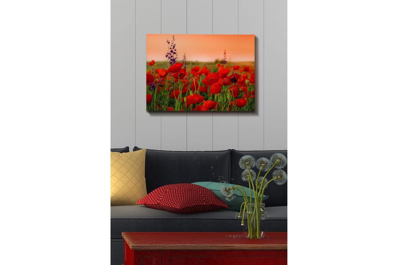 Decorative Canvas Painting 50x70 - Innredning - Bilder & kunst - Lerretsbilder
