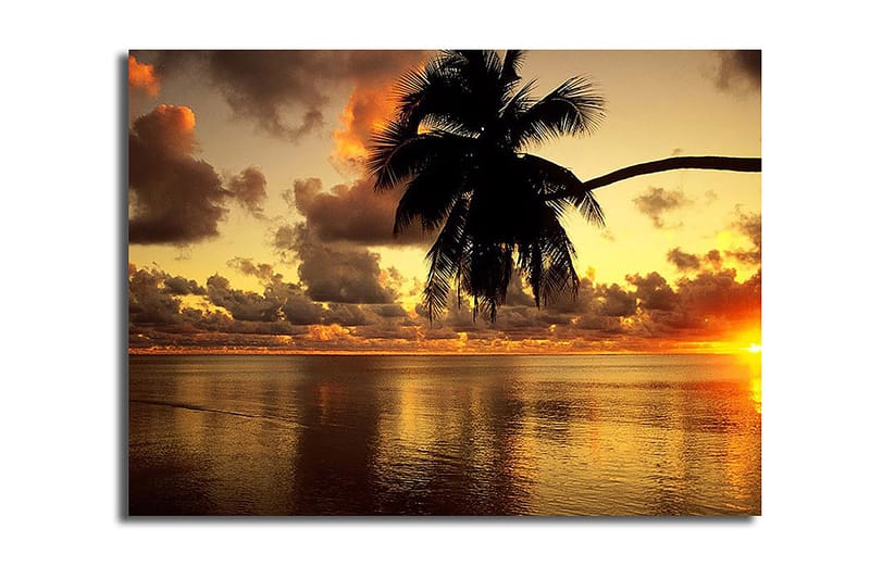 Dekorativ Canvasbilde 28x38 cm - Flerfarget - Innredning - Bilder & kunst - Lerretsbilder