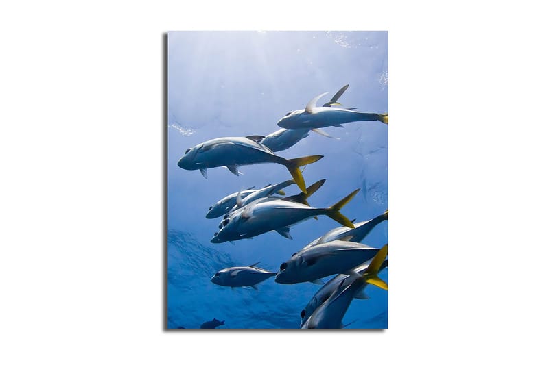 Dekorativ Canvasbilde 28x38 cm, Flerfarget