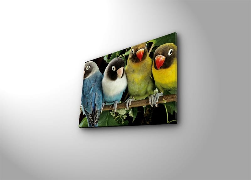 Dekorativ Canvasbilde 28x38 cm, Flerfarget