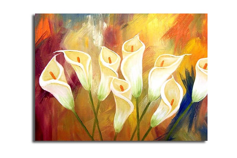 Dekorativ Canvasbilde 28x38 cm, Flerfarget
