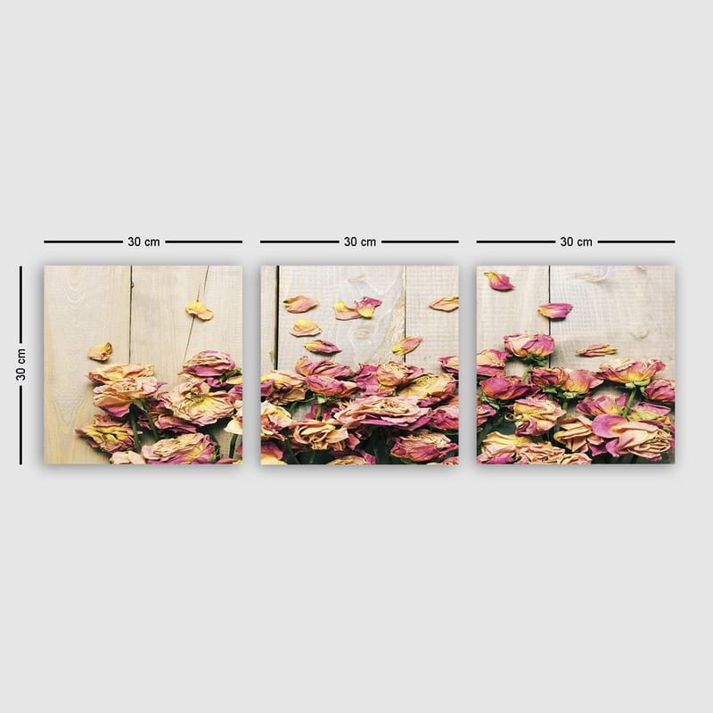Dekorativ Canvasbilde 3-Deler 30x30 cm, Flerfarget