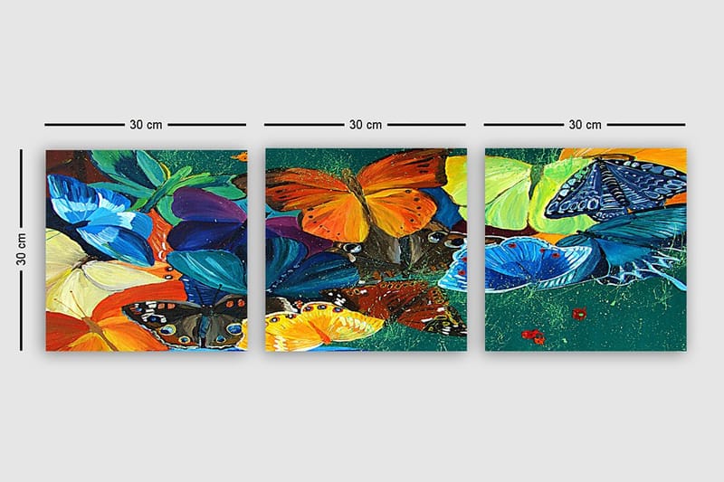 Dekorativ Canvasbilde 3-Deler 30x30 cm - Flerfarget - Innredning - Bilder & kunst - Lerretsbilder